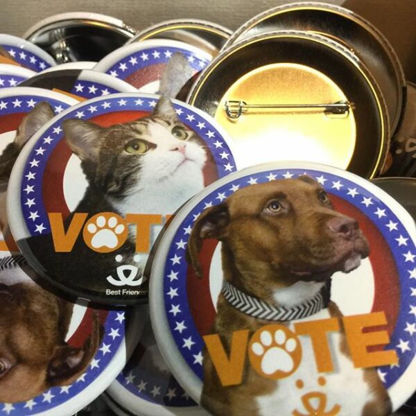 2.25" Pinback Buttons - Image 2