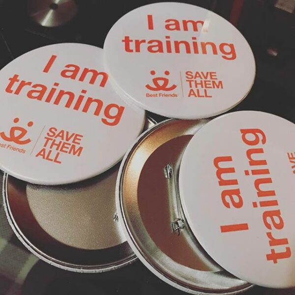 3.5" Pinback Buttons - Image 2