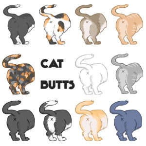 Cat butts