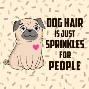 Dog Hair