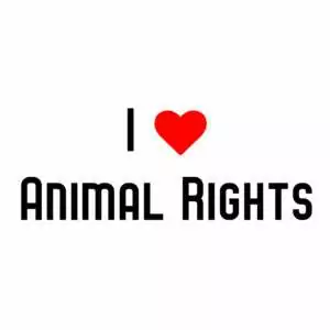 I Heart Animal Rights