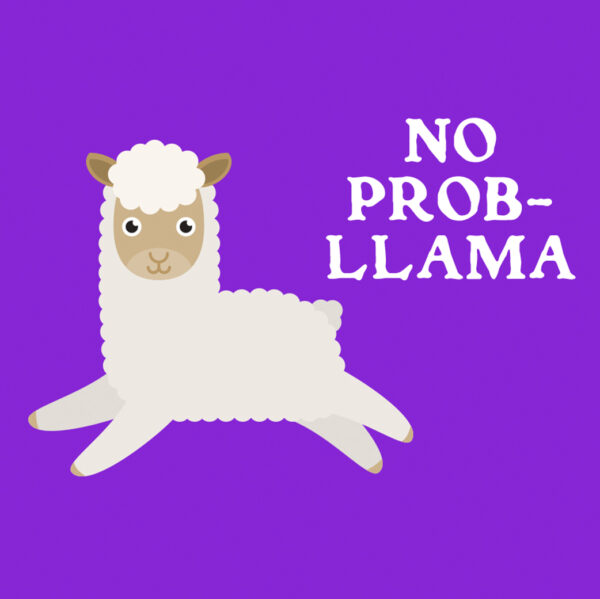 No Prob- Llama