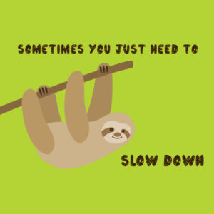 sometimes you just need to slow down