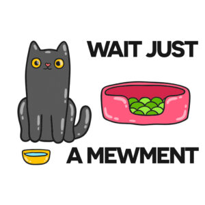 Wait just a mewment