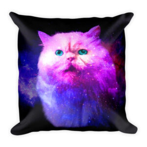 Simon Space Cat Pillow