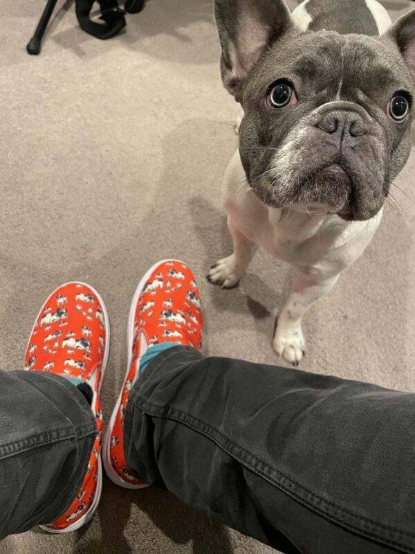 French Bulldog slip-on canvas shoes (Men’s Sizes) - Image 2